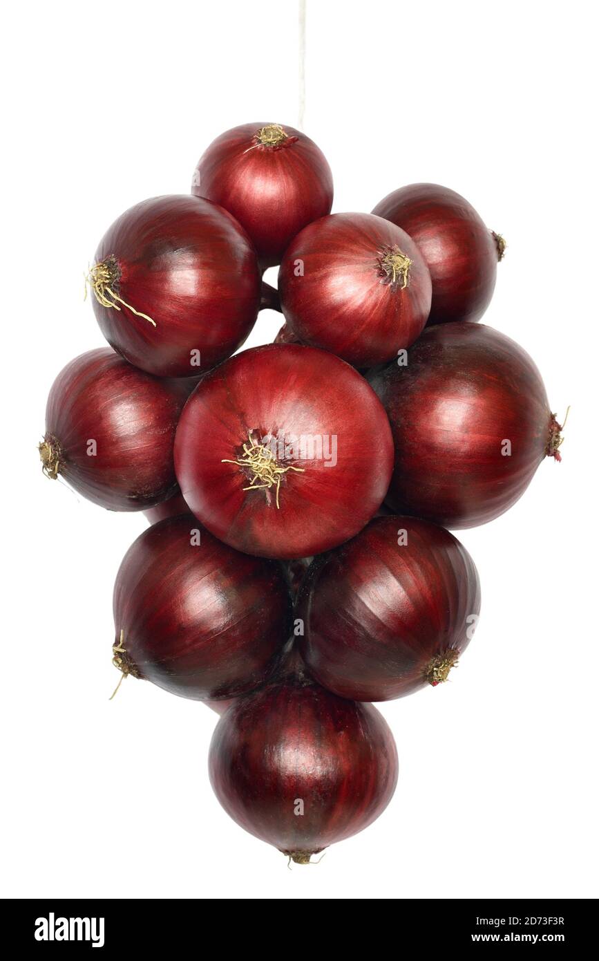 Bunch of red onion isolated on white background Stock Photo