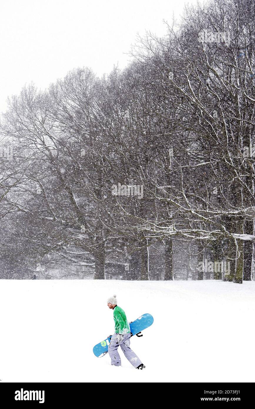 A snowboarder on Hampstead Heath after heavy snow shuts schools and causes transport chaos in London. Stock Photo