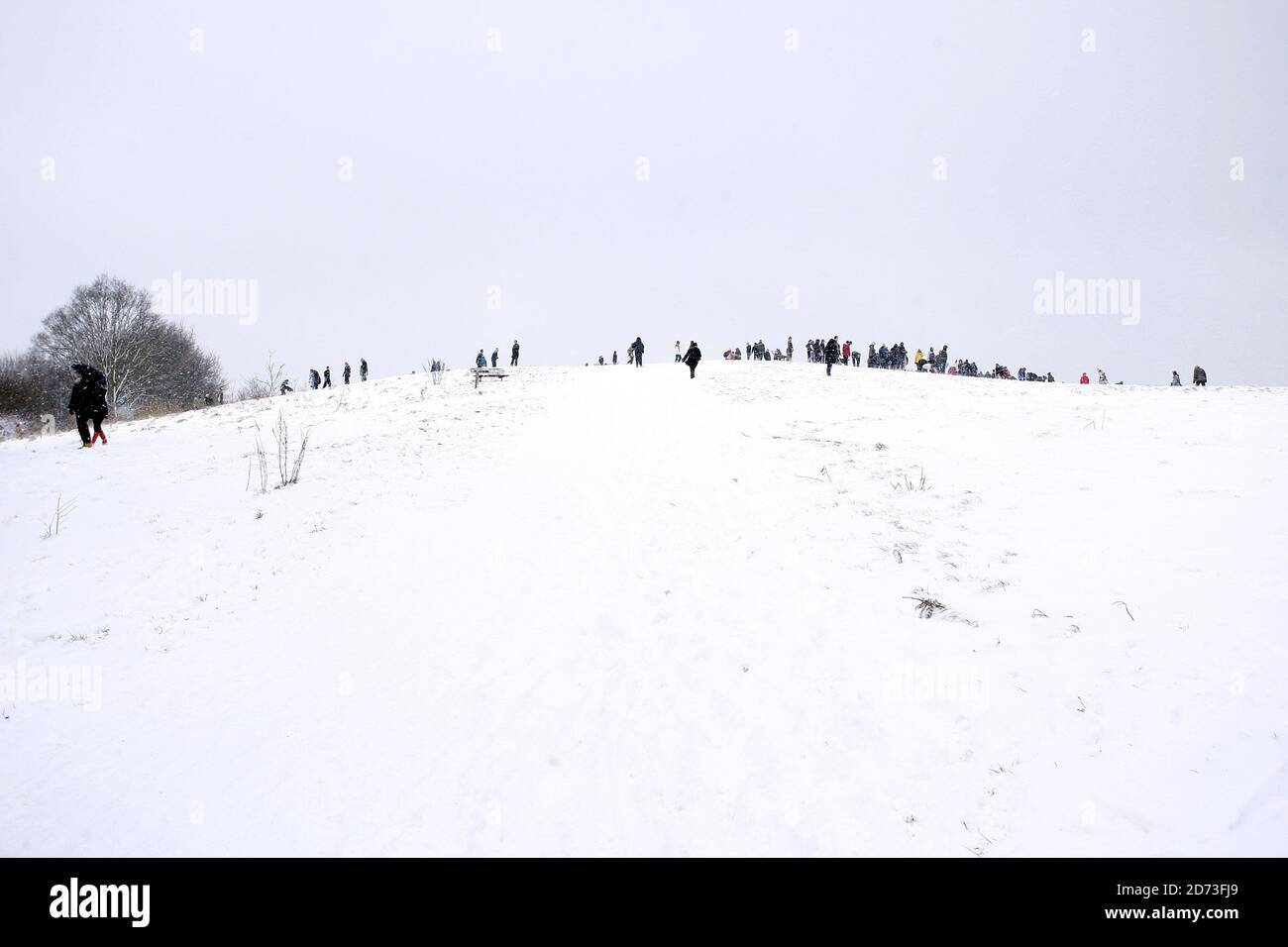 People toboggan on Hampstead Heath after heavy snow shuts schools and