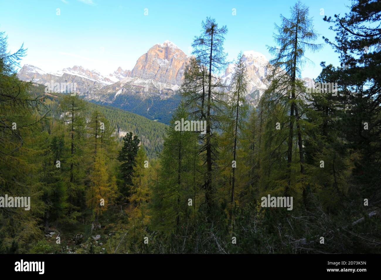 The forest on the path that leads to the lake of Federa Stock Photo - Alamy