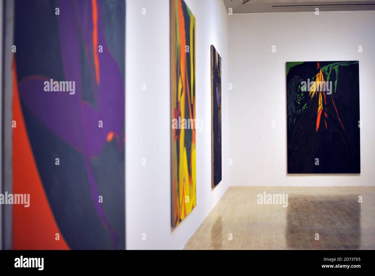 Works by Chris Ofili on display at a new exhibition of his work, at the ...