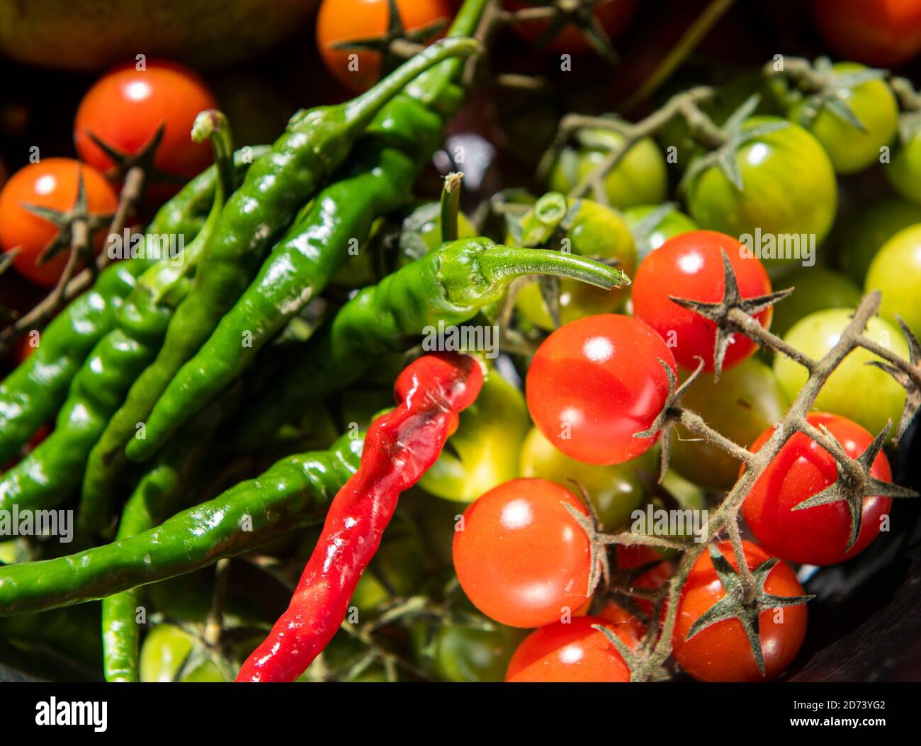 Close-up cherry tomato and peppers hot green red Stock Photo