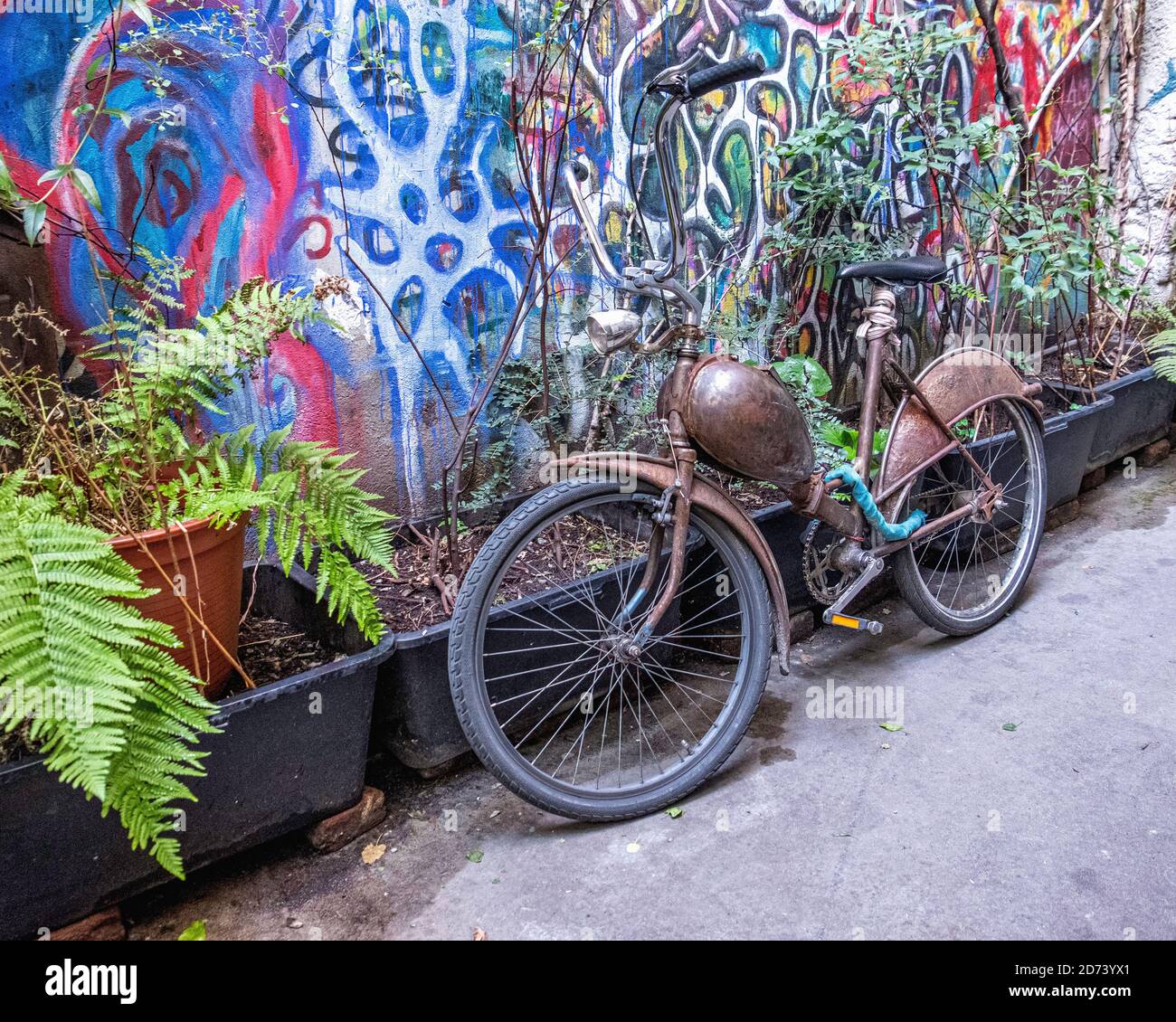 Unusual Bicycle parked next to pot plants at Haus Schwarzenberg art & culture venue, 39 Rosenthaler Strasse, Mitte, Berlin. Stock Photo