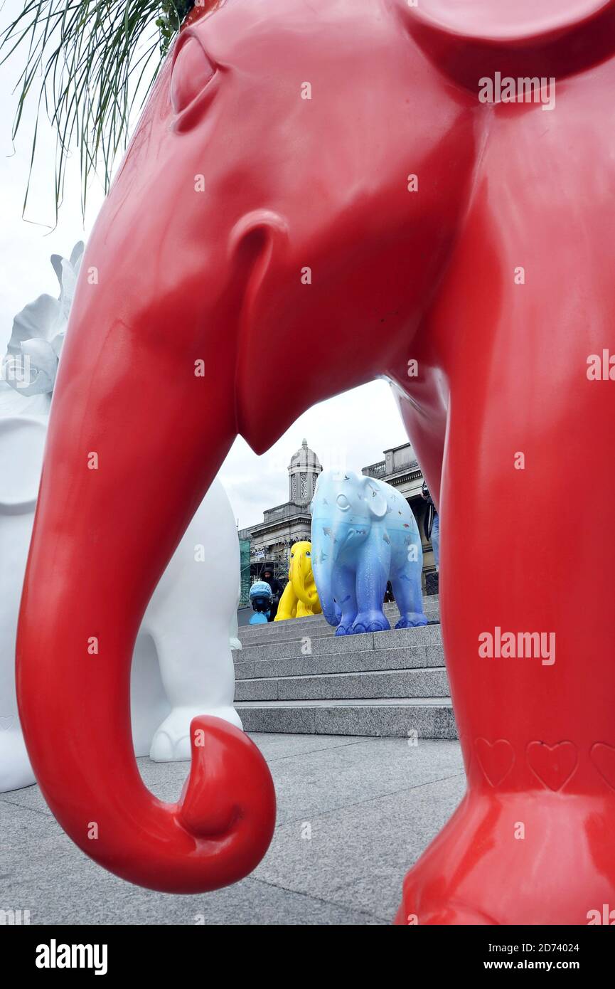 Painted elephants in Trafalgar Suqare in central London, at the launch
