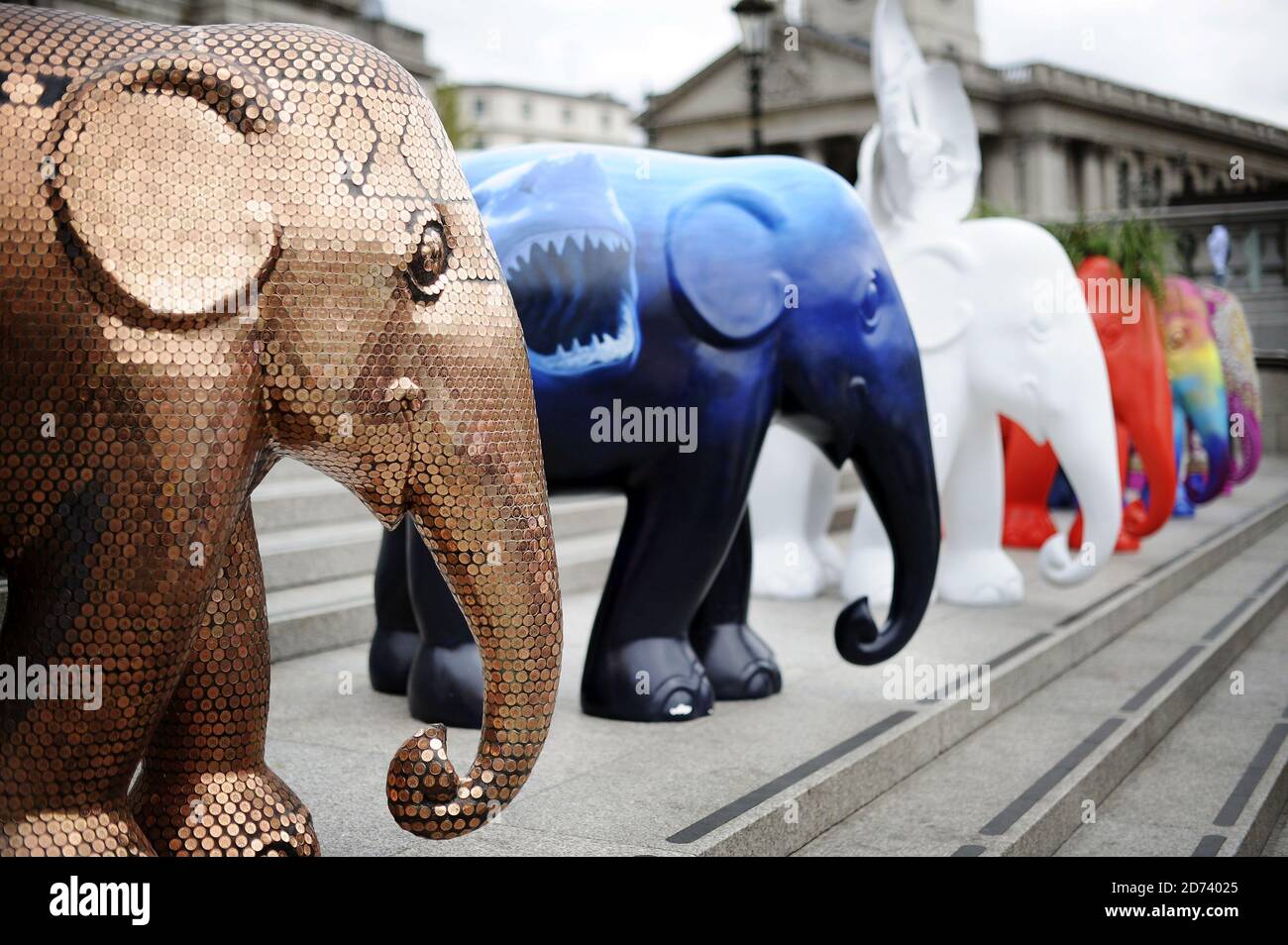 Painted elephants in Trafalgar Suqare in central London, at the launch