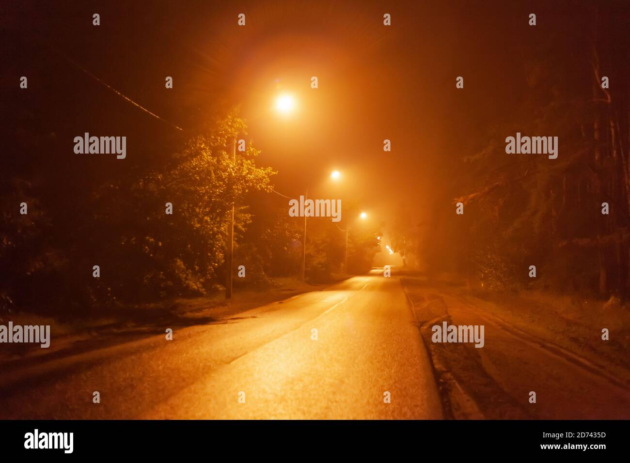night desert road in the fog Stock Photo
