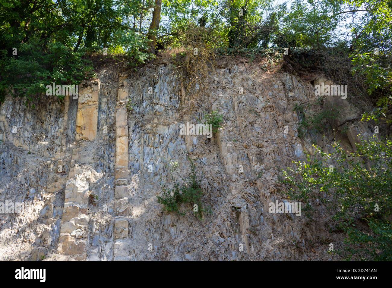 sheer rock with green trees Stock Photo