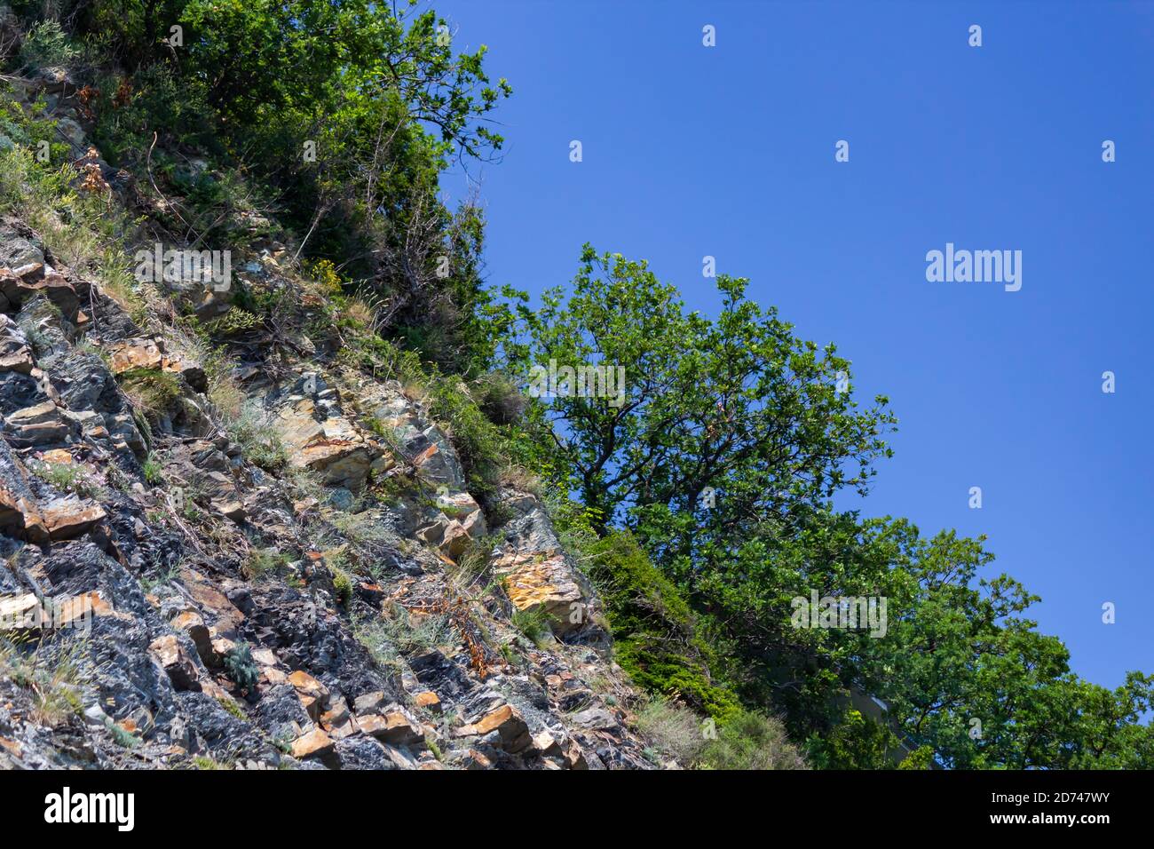 sheer rock with trees Stock Photo