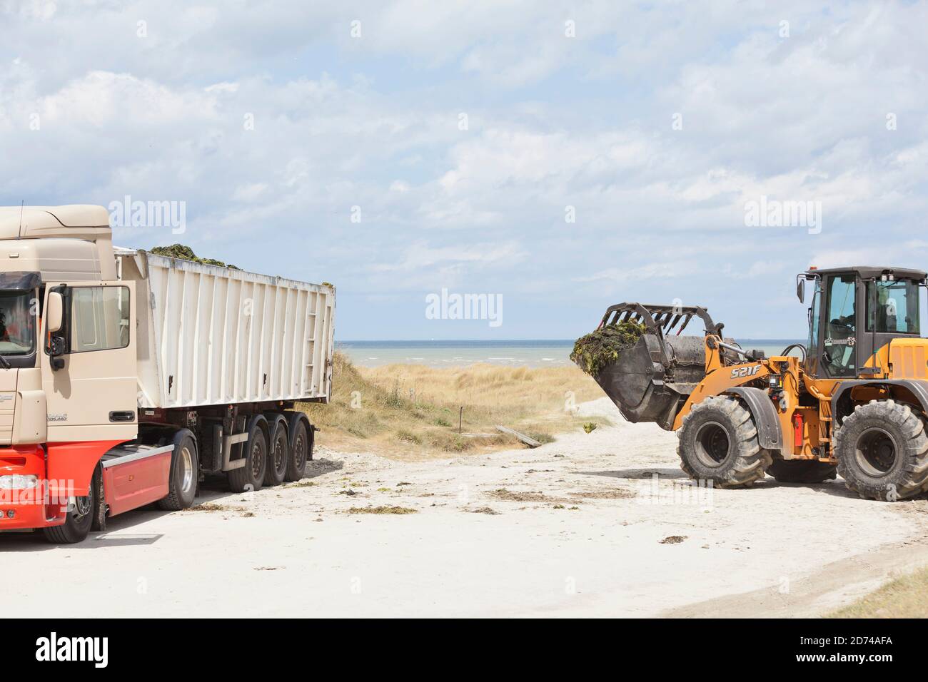 Mit schwerem Gerät werden zur Sommerzeit die Strände in der Bucht von St Brieuc von giftigen Grünalgen gesäubert. Bretagne Frankreich Stock Photo