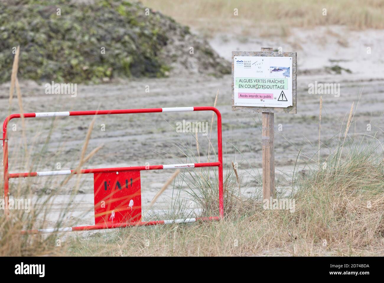 Grünalgen Sammelplatz in der Bucht von Saint Brieuc, Bretagne Frankreich. Stock Photo