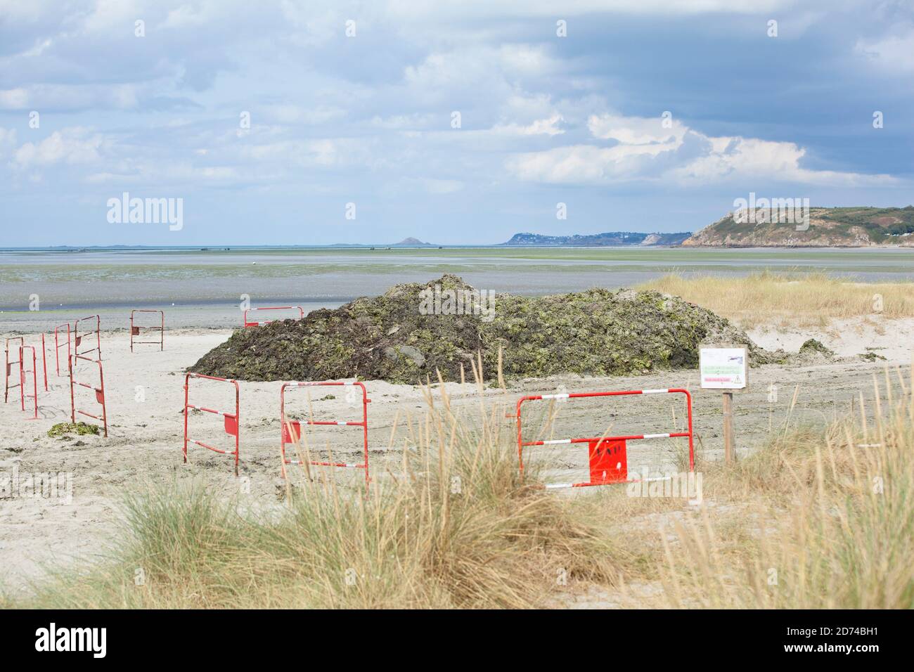 Grünalgen Sammelplatz in der Bucht von Saint Brieuc, Bretagne Frankreich. Stock Photo