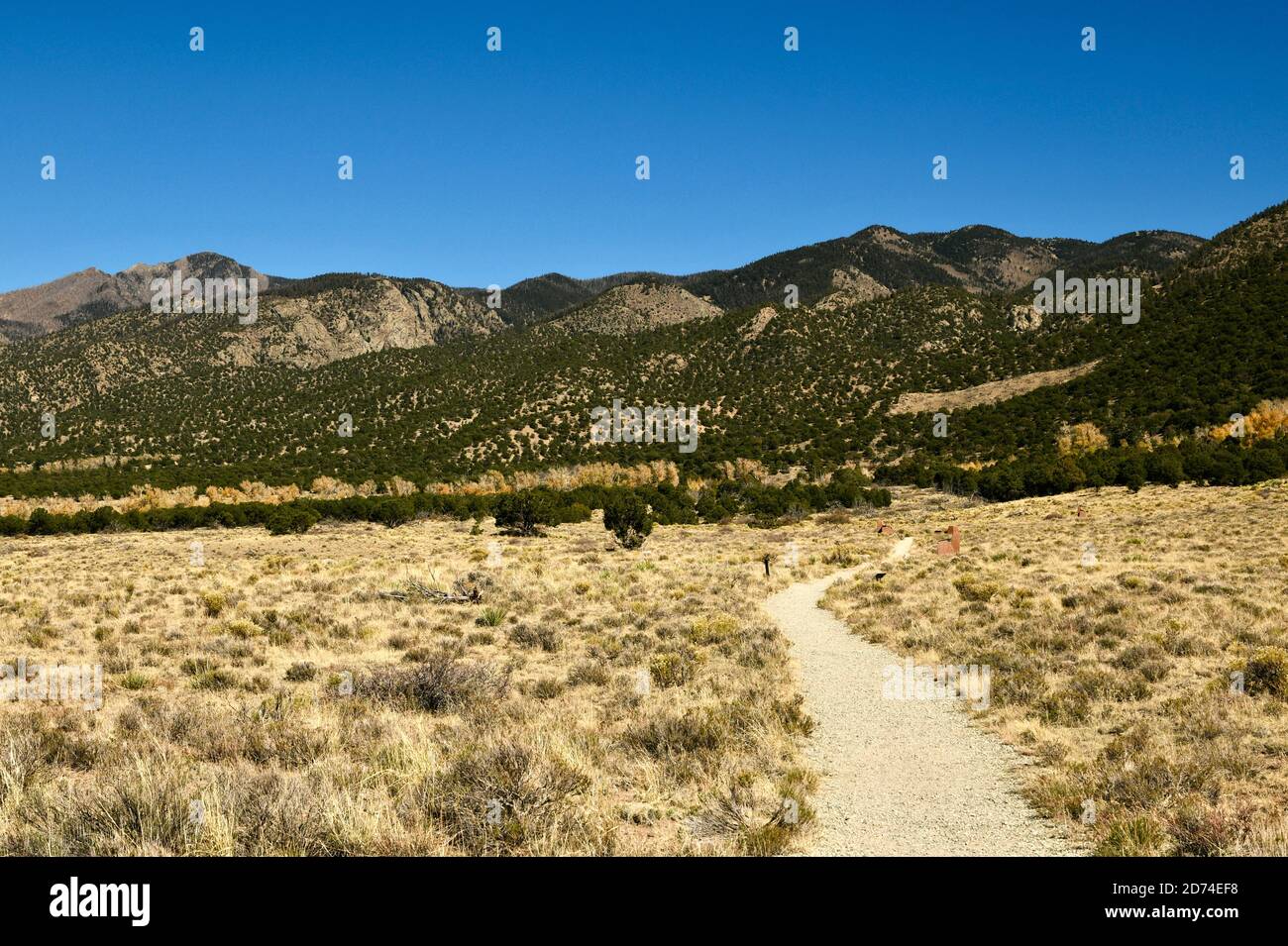 Pathway through the grasslands and sand in the Great Sand Dunes 
