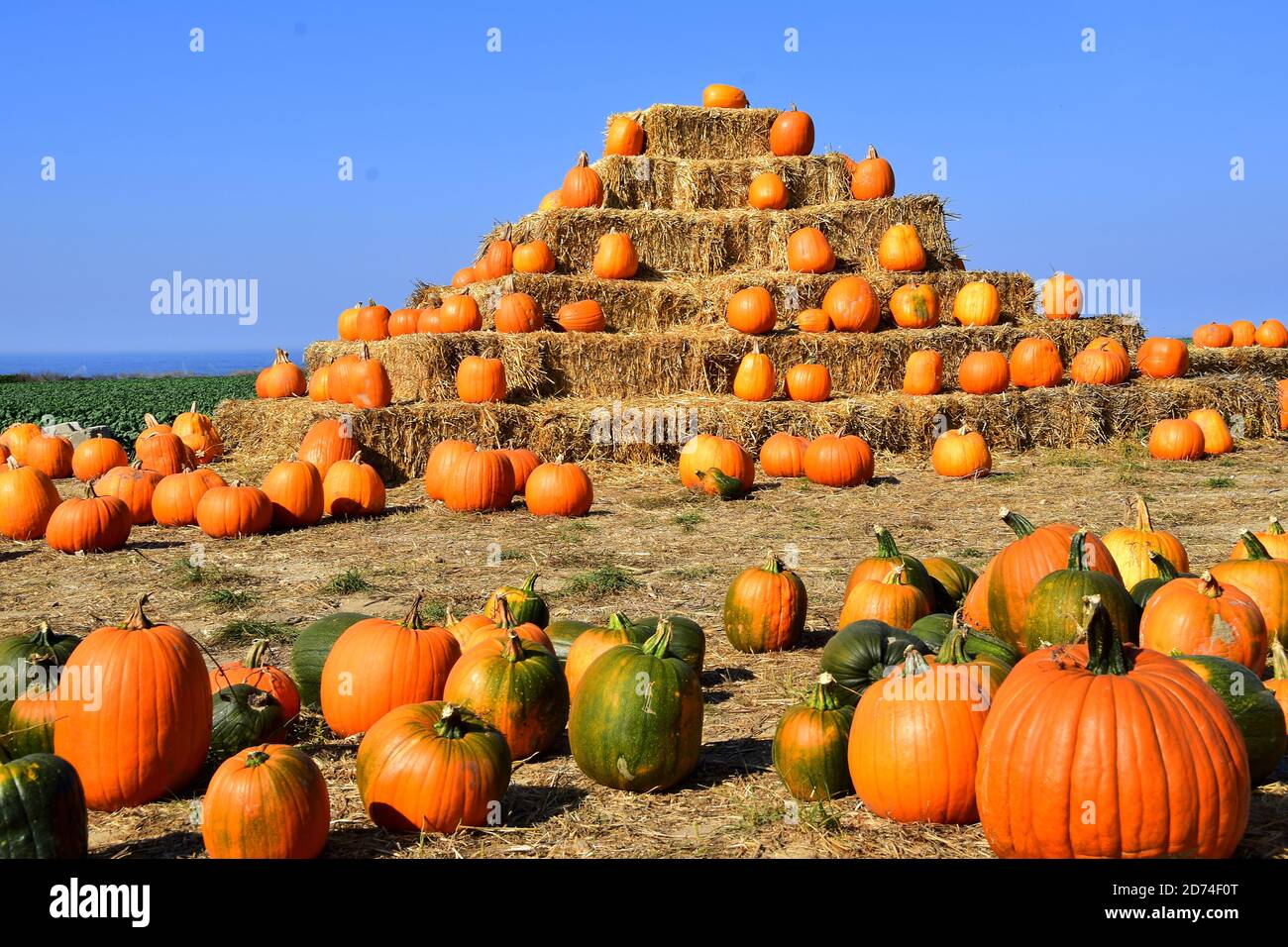 Pumpkin Pyramid on the Santa Cruz Coast Stock Photo