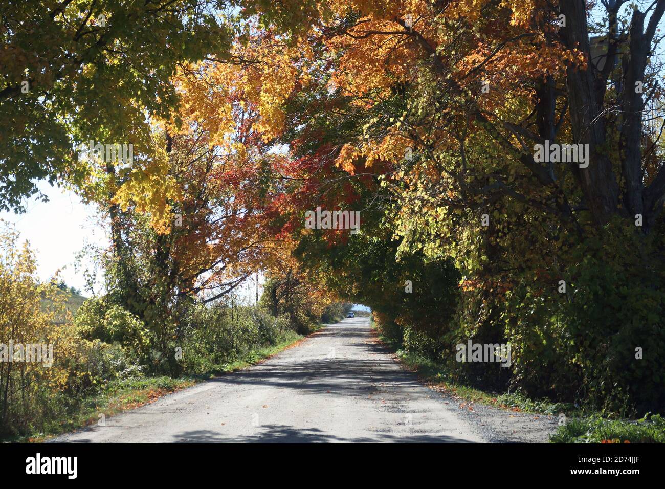 Fall weather in Ontario Stock Photo - Alamy