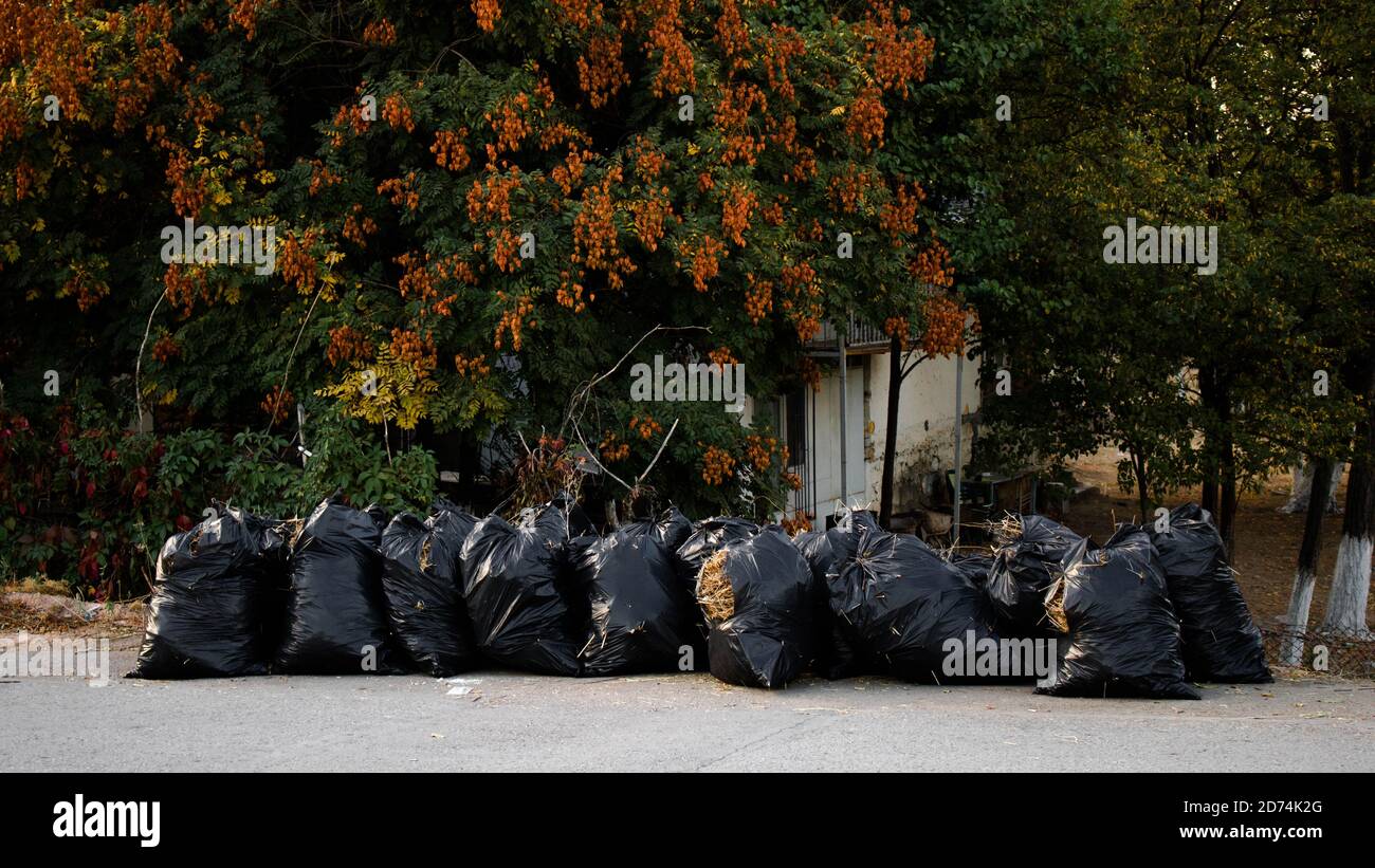 Garbage bags stacked on the roadside, human pollution concept, environmental concerns concept Stock Photo