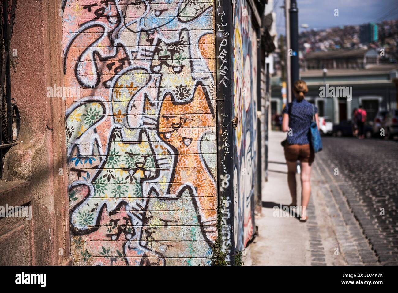 Graffiti, Valparaiso, Valparaiso Province, Chile Stock Photo