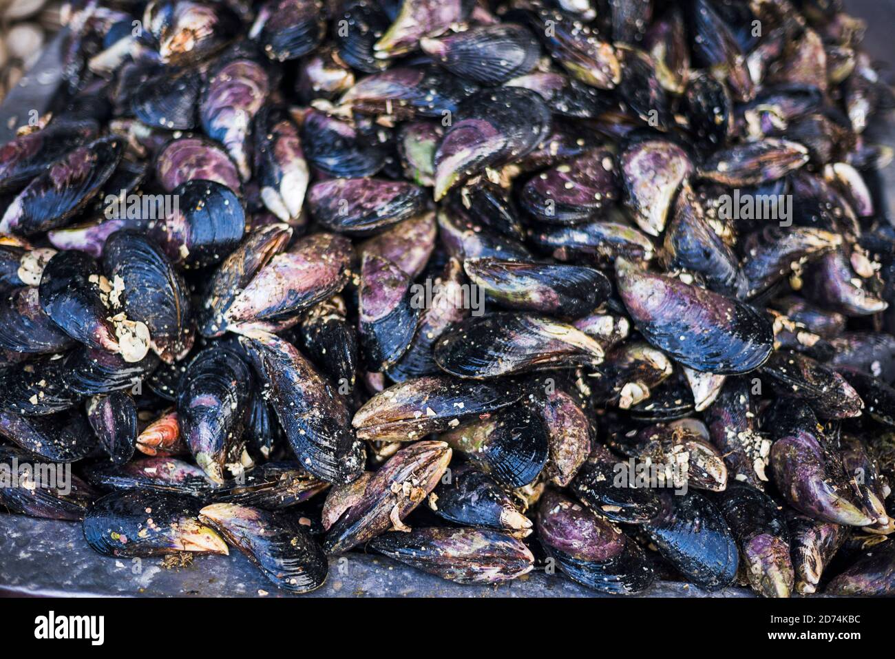Mussels at Angelmo fish market, Puerto Montt, Chile Stock Photo Alamy