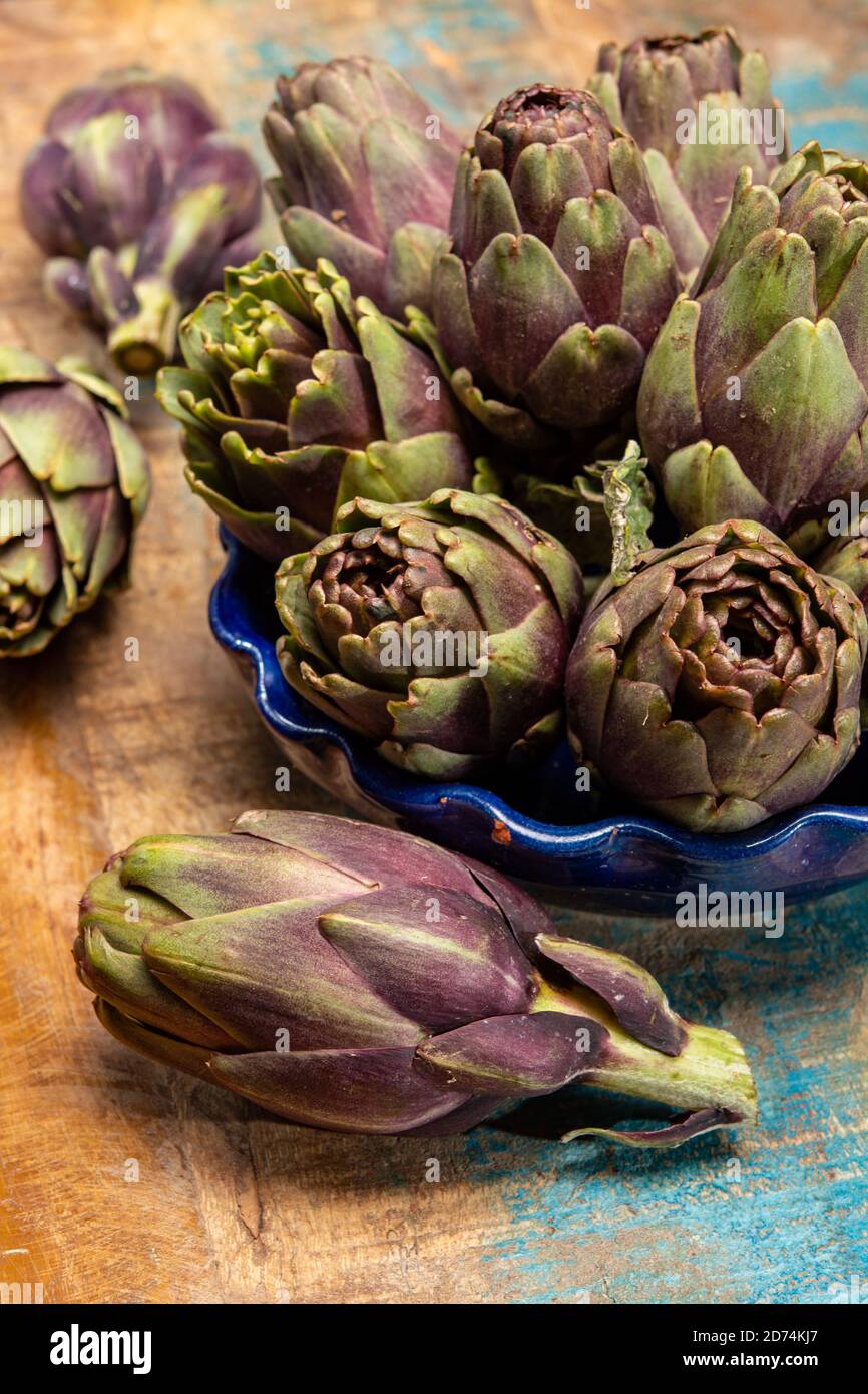 Fresh french petit violet artichokes heads cultivted in Brittany, France close up Stock Photo