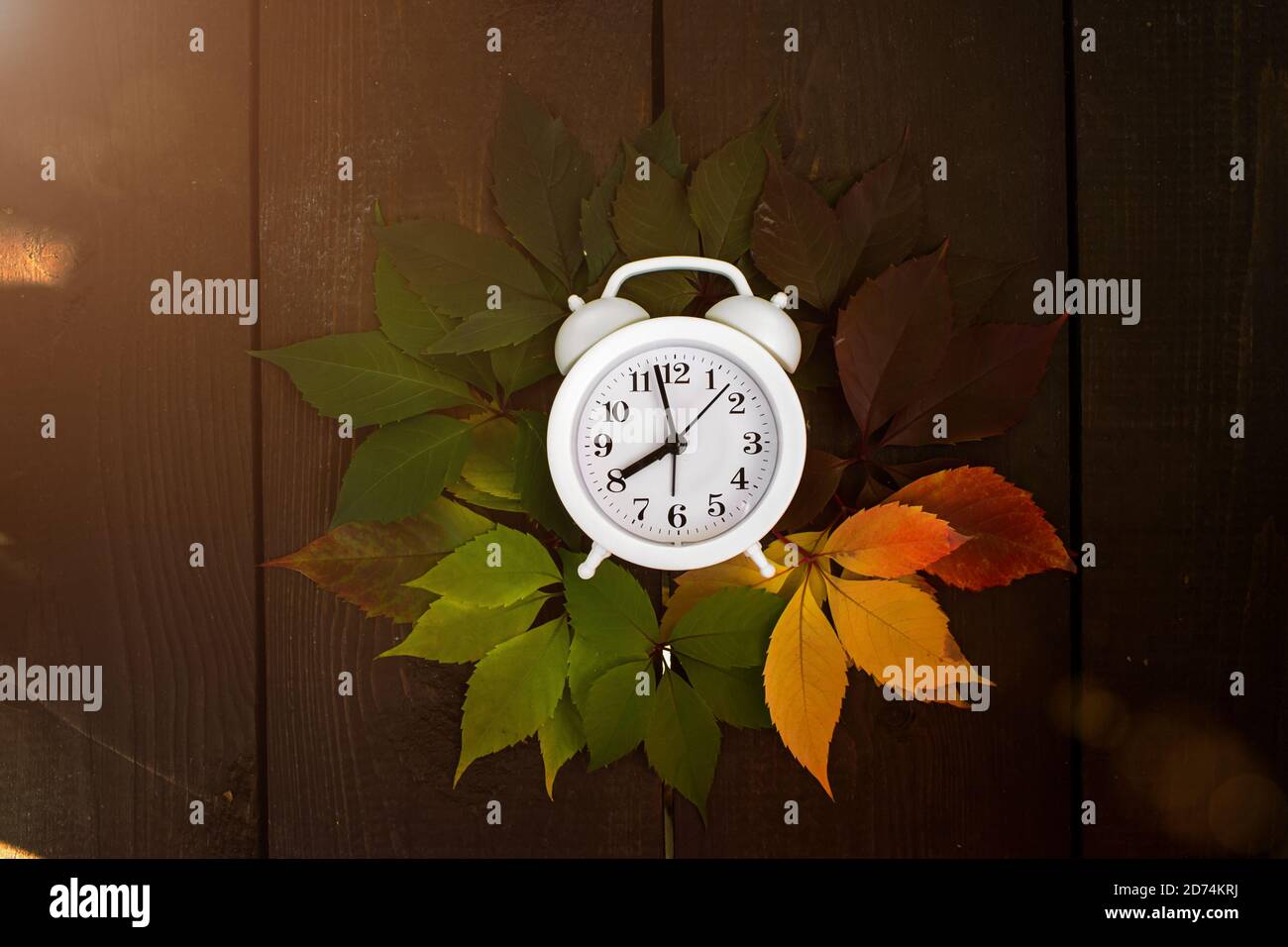 Autumn leaves transition from green to red on wooden background. Concept change of season Stock Photo