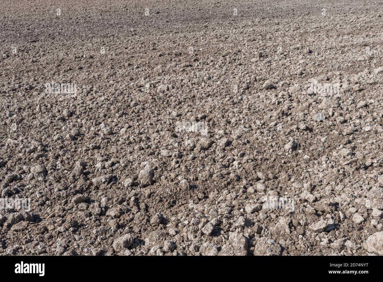Field of prepared soil and planted crop seeds. Metaphor farming and