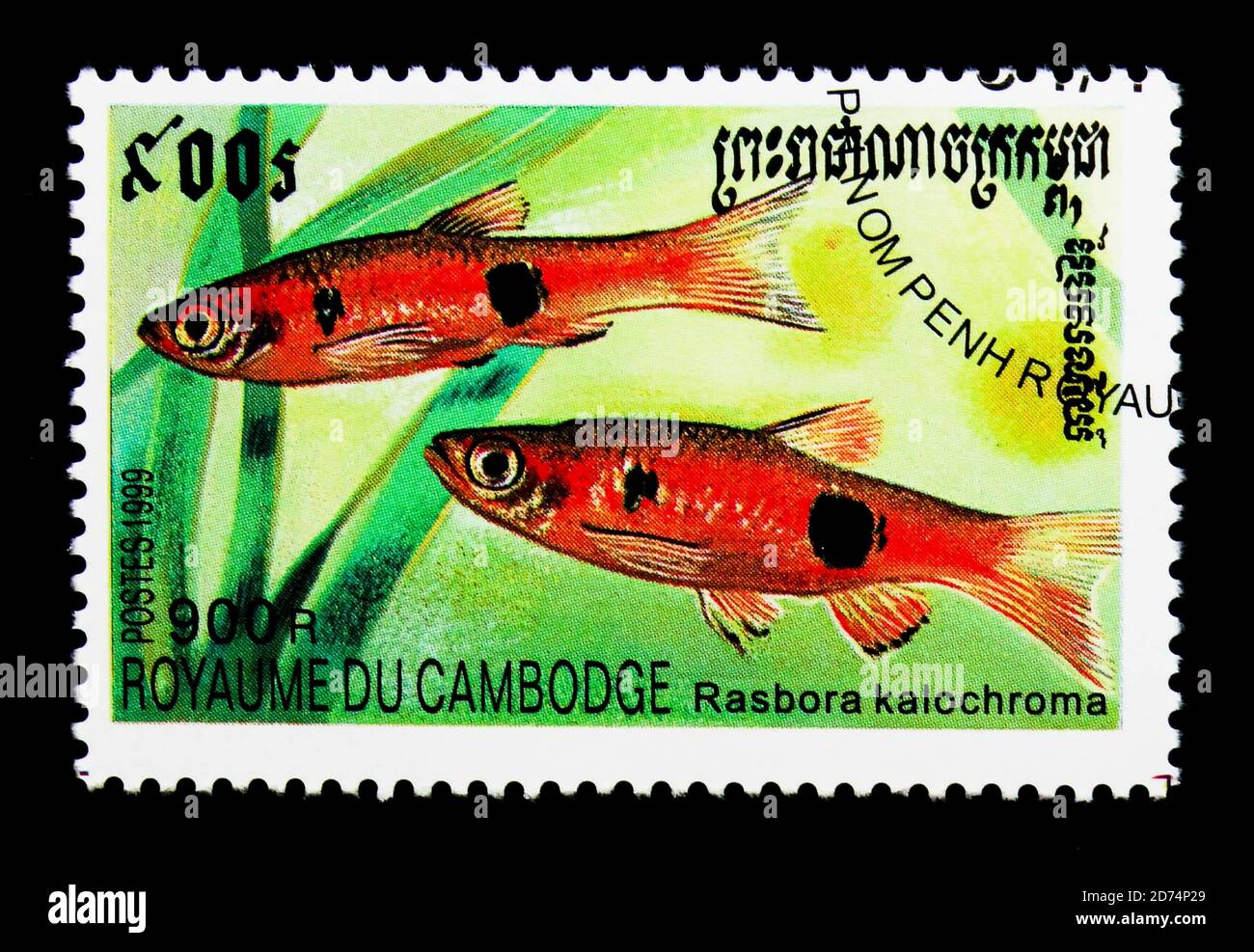 MOSCOW, RUSSIA - NOVEMBER 24, 2017: A stamp printed in Cambodia shows Clown Rasbora (Rasbora kalochroma), Fishes serie, circa 1999 Stock Photo