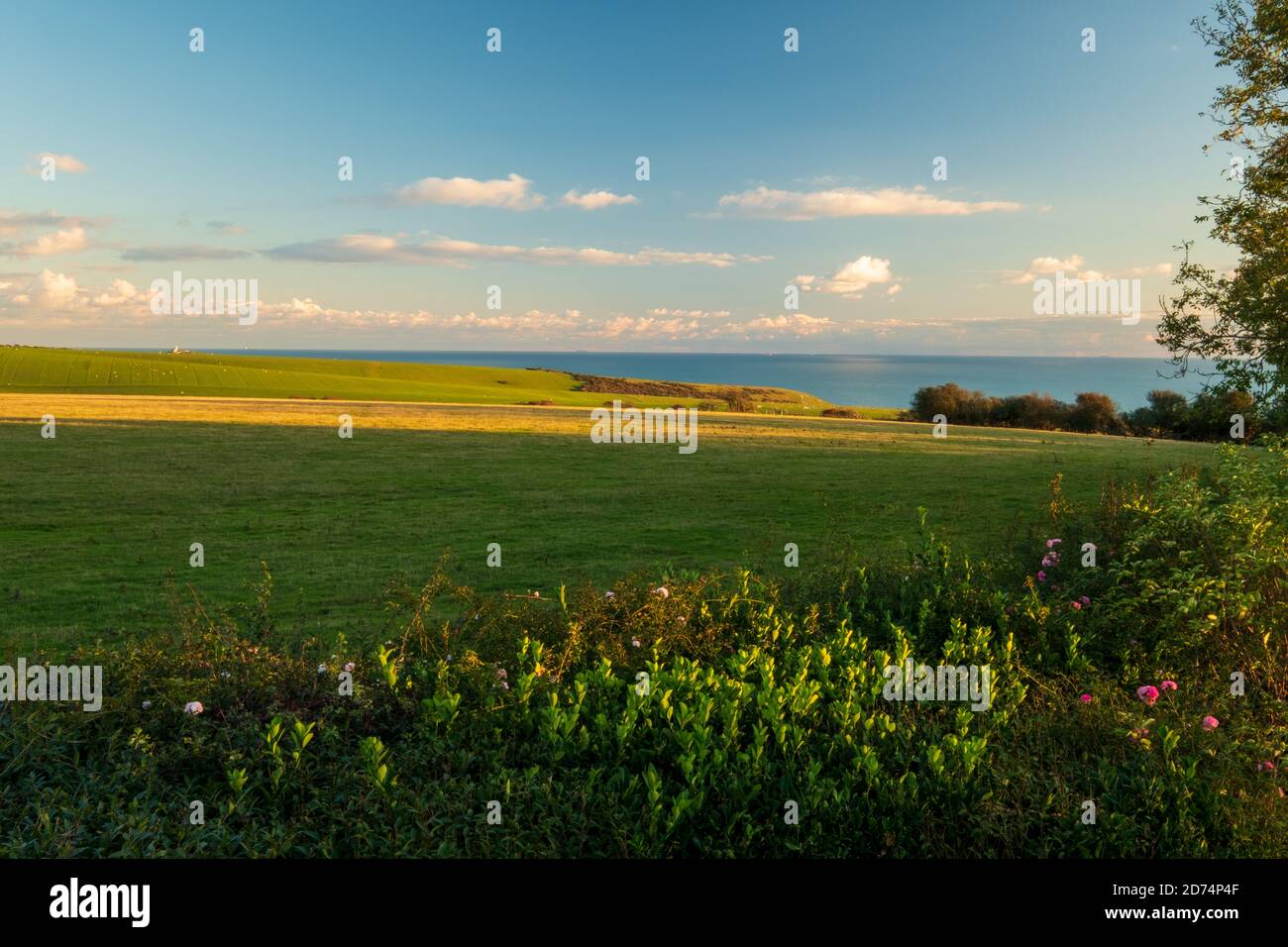 Scudding evening clouds scudding over the Crowlink Estate (3 Stock Photo - Alamy