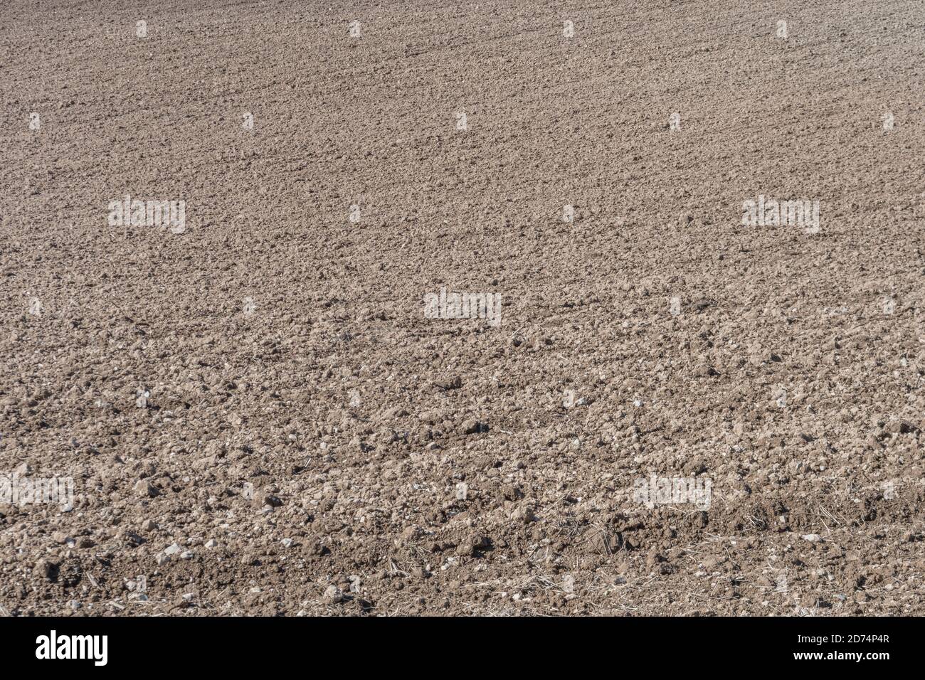 Field of prepared soil and planted crop seeds. Metaphor farming and agriculture UK, growing crops, soil science, soil types, soil preparation. Stock Photo