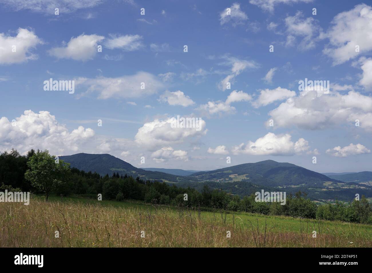 July in the Beskids, view from a mountain meadow on the forest, peaks and valleys, landscape Stock Photo