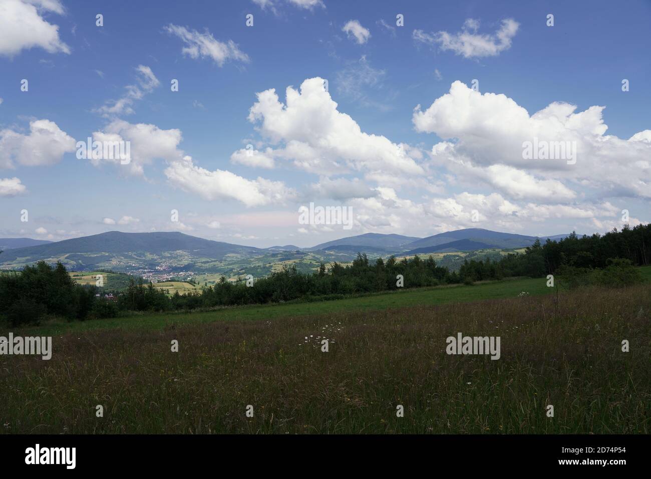 July in the Beskids, view from a mountain meadow on the forest, peaks and valleys, landscape Stock Photo