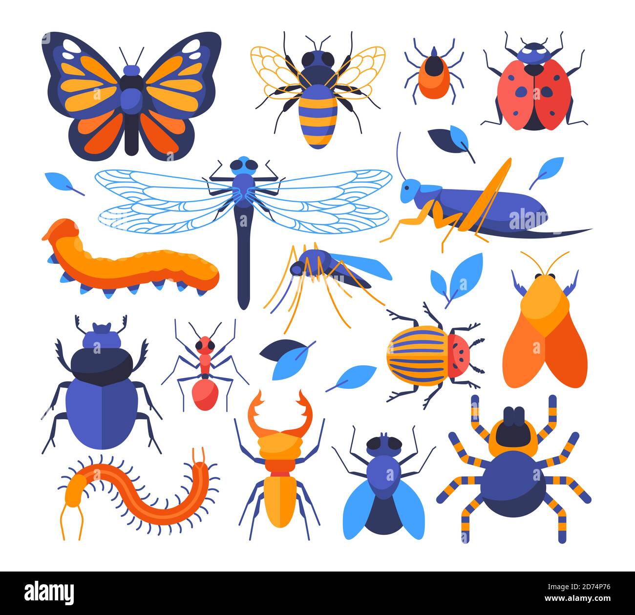 Insects collection - set of flat design style elements on white