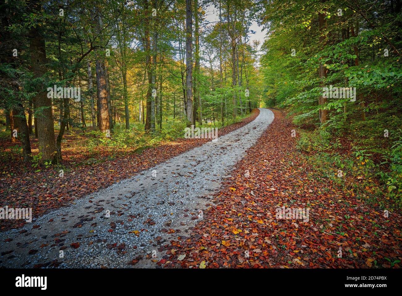 Gravel road in Turkey Foot Campground near McKee, KY Stock Photo Alamy