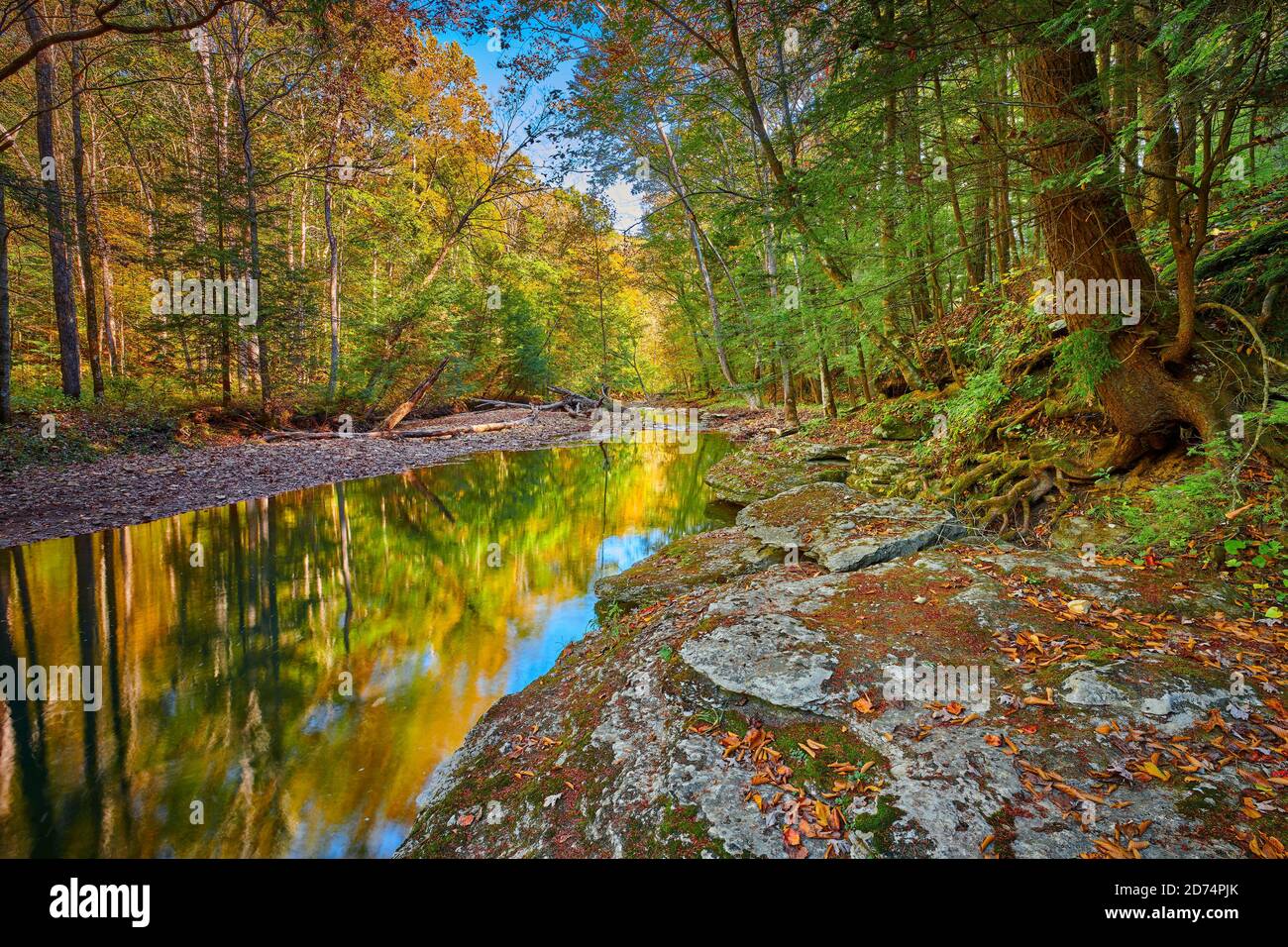 View of War Creek next to Turkey Foot Campground near McKee, KY Stock
