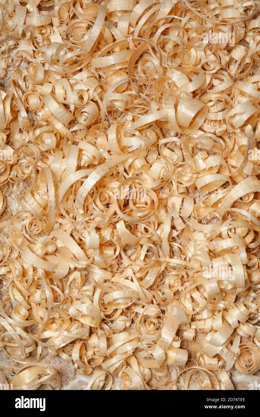 Abstract texture background with wooden shavings Stock Photo
