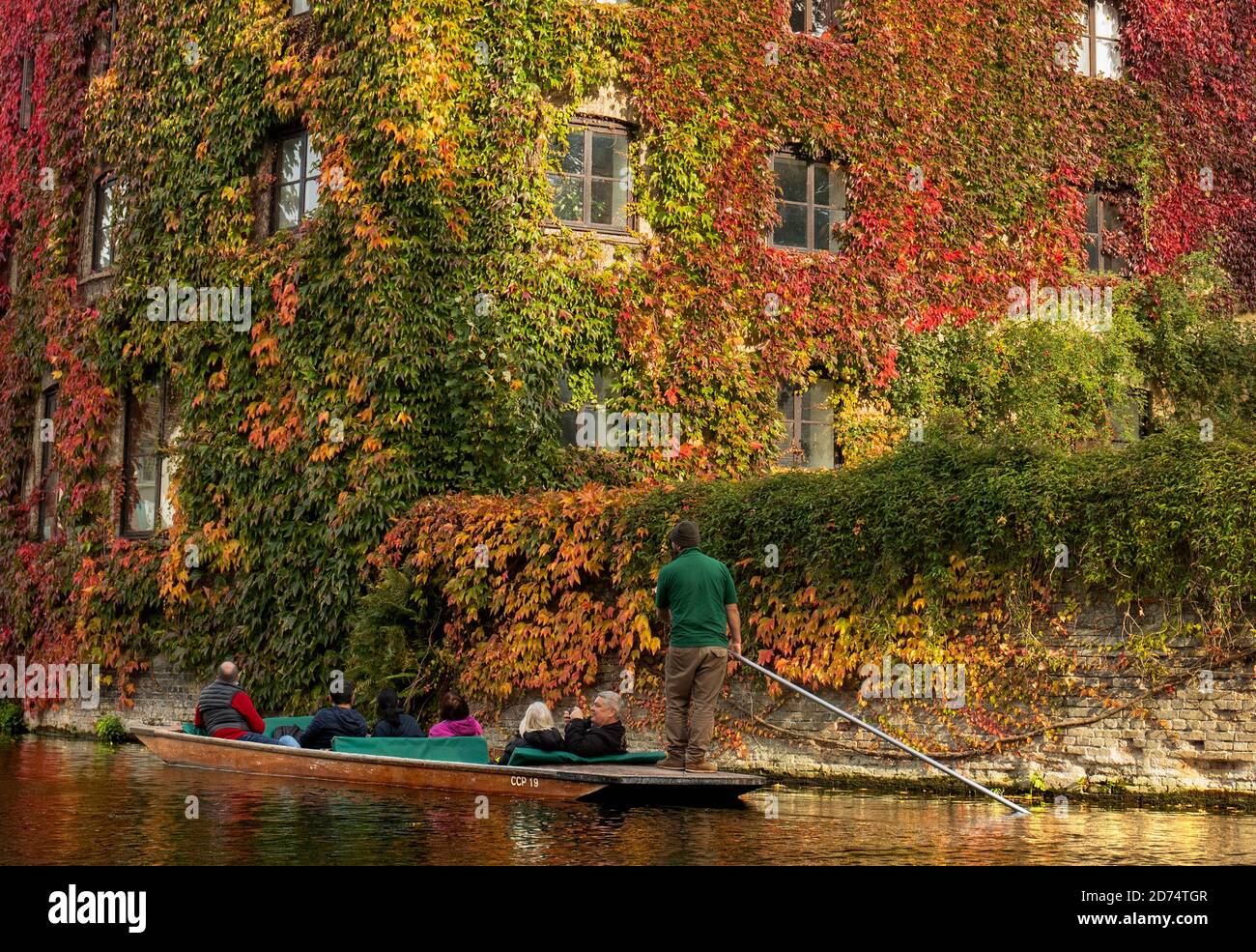 Cambridge England Monday October 19th 2020. A punt passes the colourful Virginia Creeper  growing on the side of St Johns College along the river Cam. Stock Photo