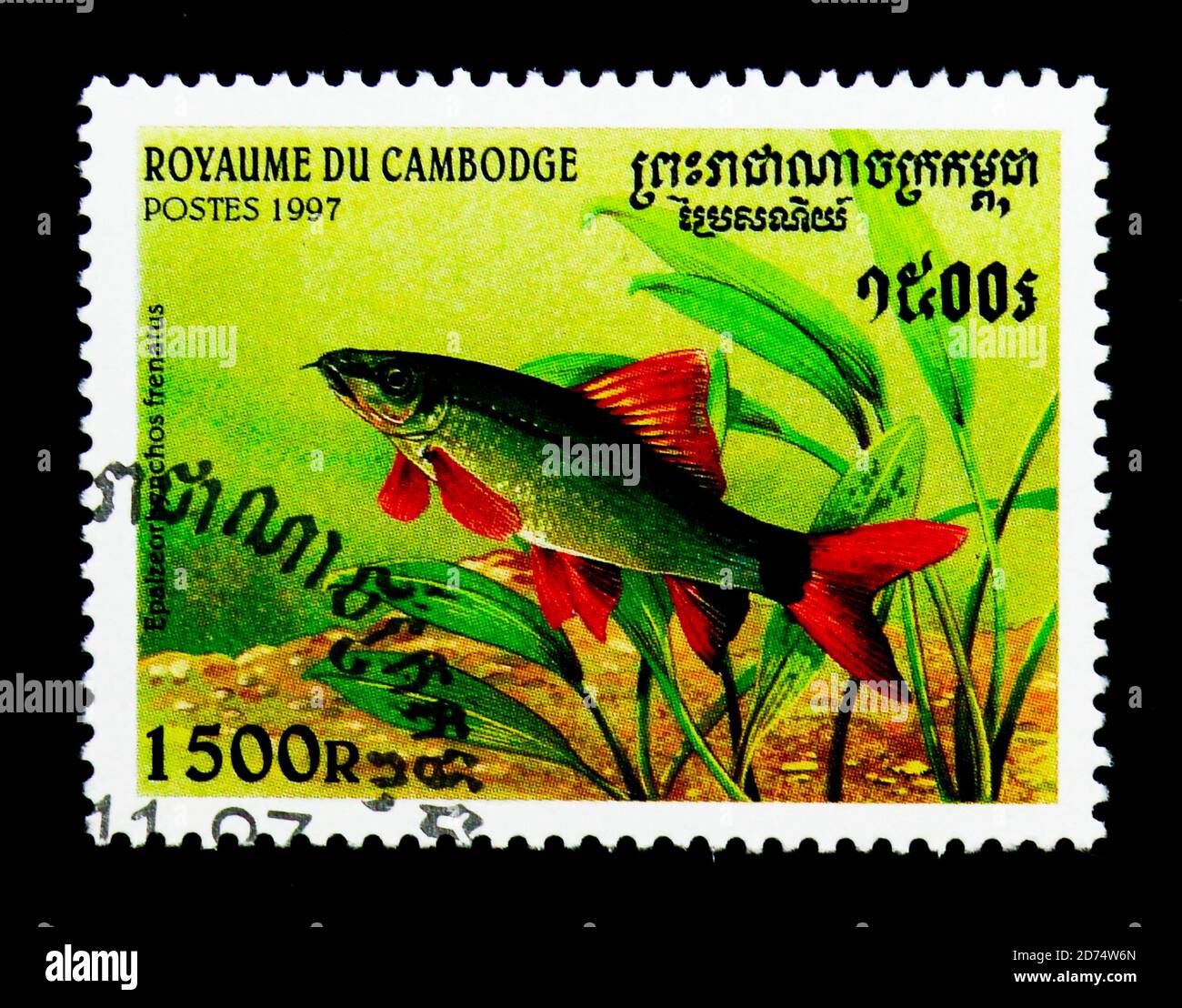 MOSCOW, RUSSIA - NOVEMBER 24, 2017: A stamp printed in Cambodia shows Rainbow Shark (Epalzeorhynchos frenatus), Fishes serie, circa 1997 Stock Photo