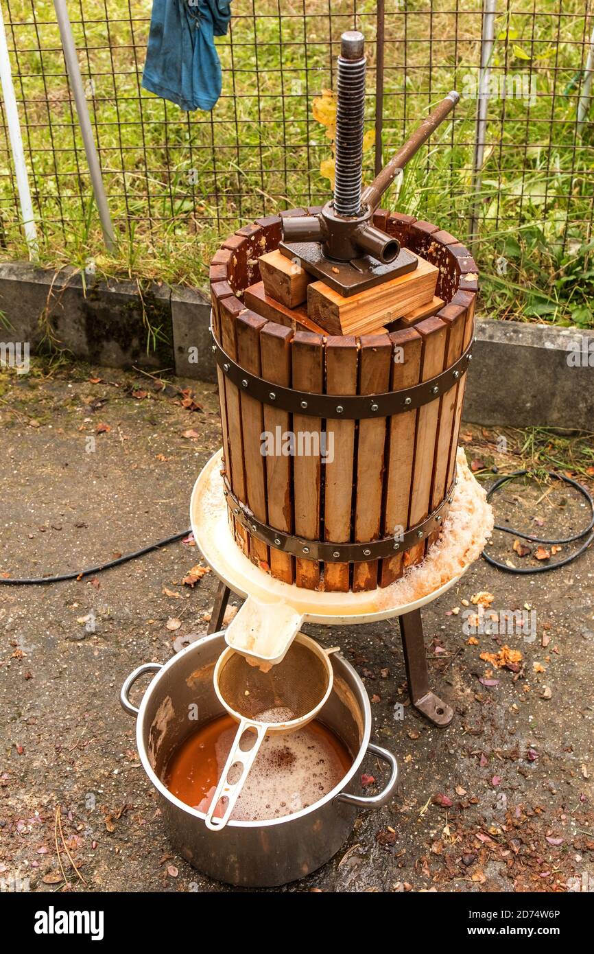 Wooden press for apple cider. Domestic production of must. Fruit processing. Stock Photo