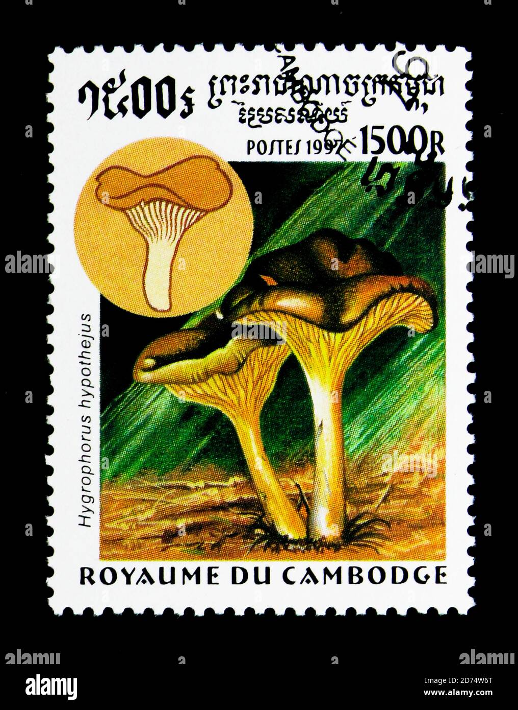 MOSCOW, RUSSIA - NOVEMBER 24, 2017: A stamp printed in Cambodia shows Hygrophorus hypothejus, Mushrooms serie, circa 1997 Stock Photo