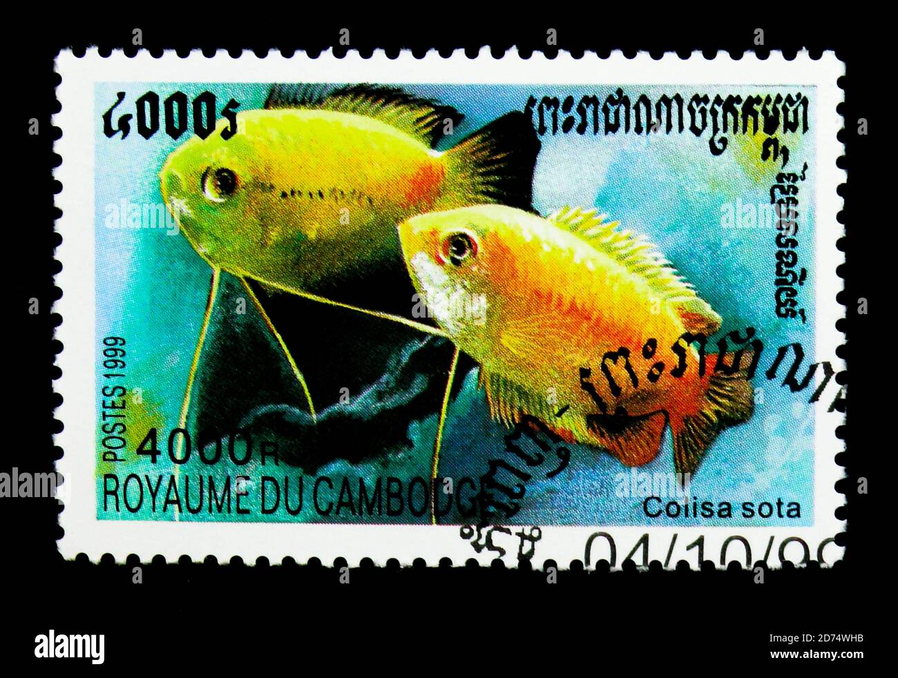 MOSCOW, RUSSIA - NOVEMBER 24, 2017: A stamp printed in Cambodia shows Honey Gourami (Colisa sota), Fishes serie, circa 1999 Stock Photo
