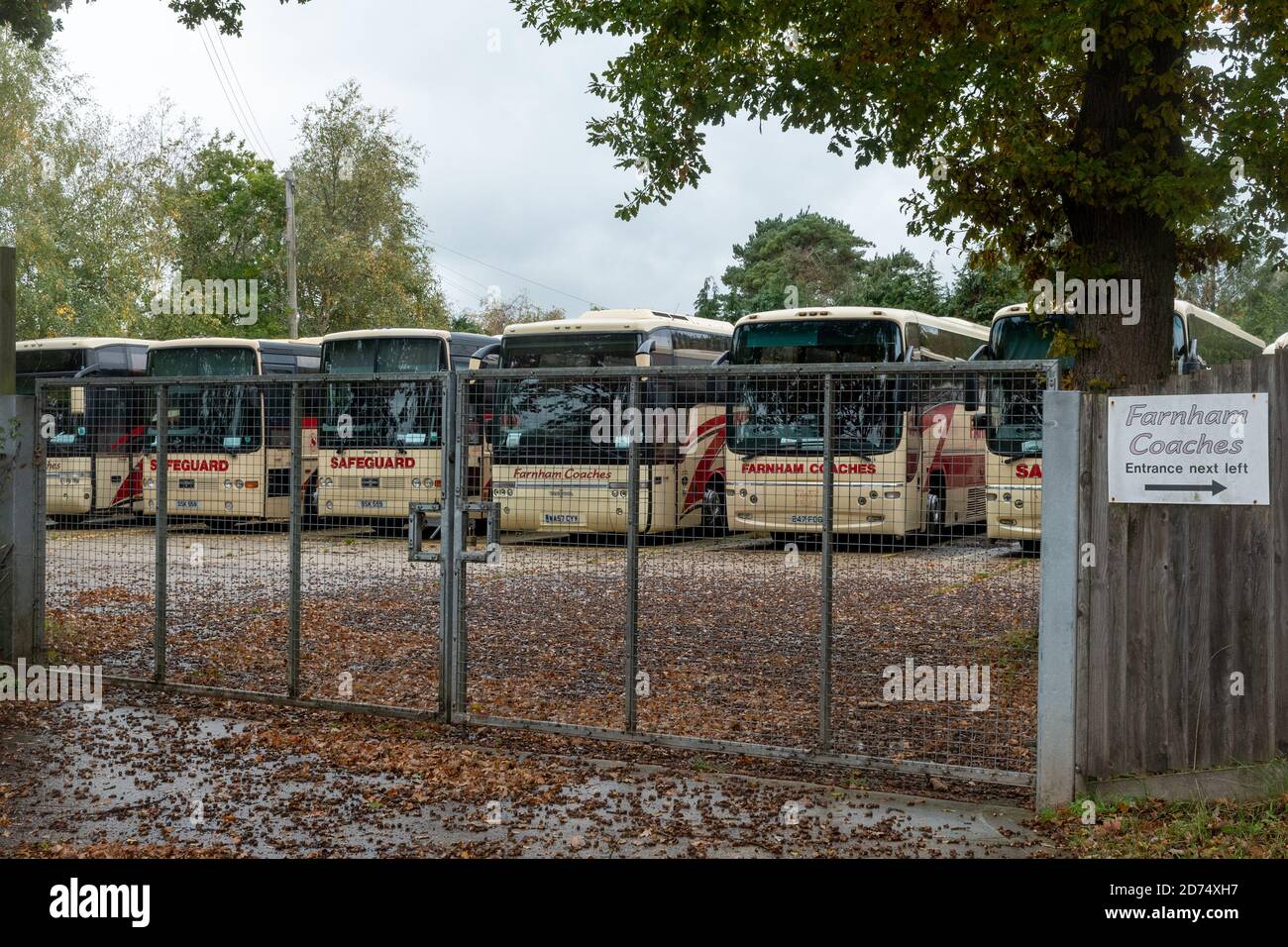 Surrey, UK. 20th October, 2020. A row of coaches belonging to operator Farnham Coaches parked in a locked yard. The coronavirus Covid-19 pandemic has resulted in a greatly reduced number of coach trips and holidays taking place this year due to problems with social distancing on public transport, and many coach operators are in financial difficulty. The UK government furlough scheme has supported staff until now and kept them in employment, but is about to finish at the end of this month. Stock Photo