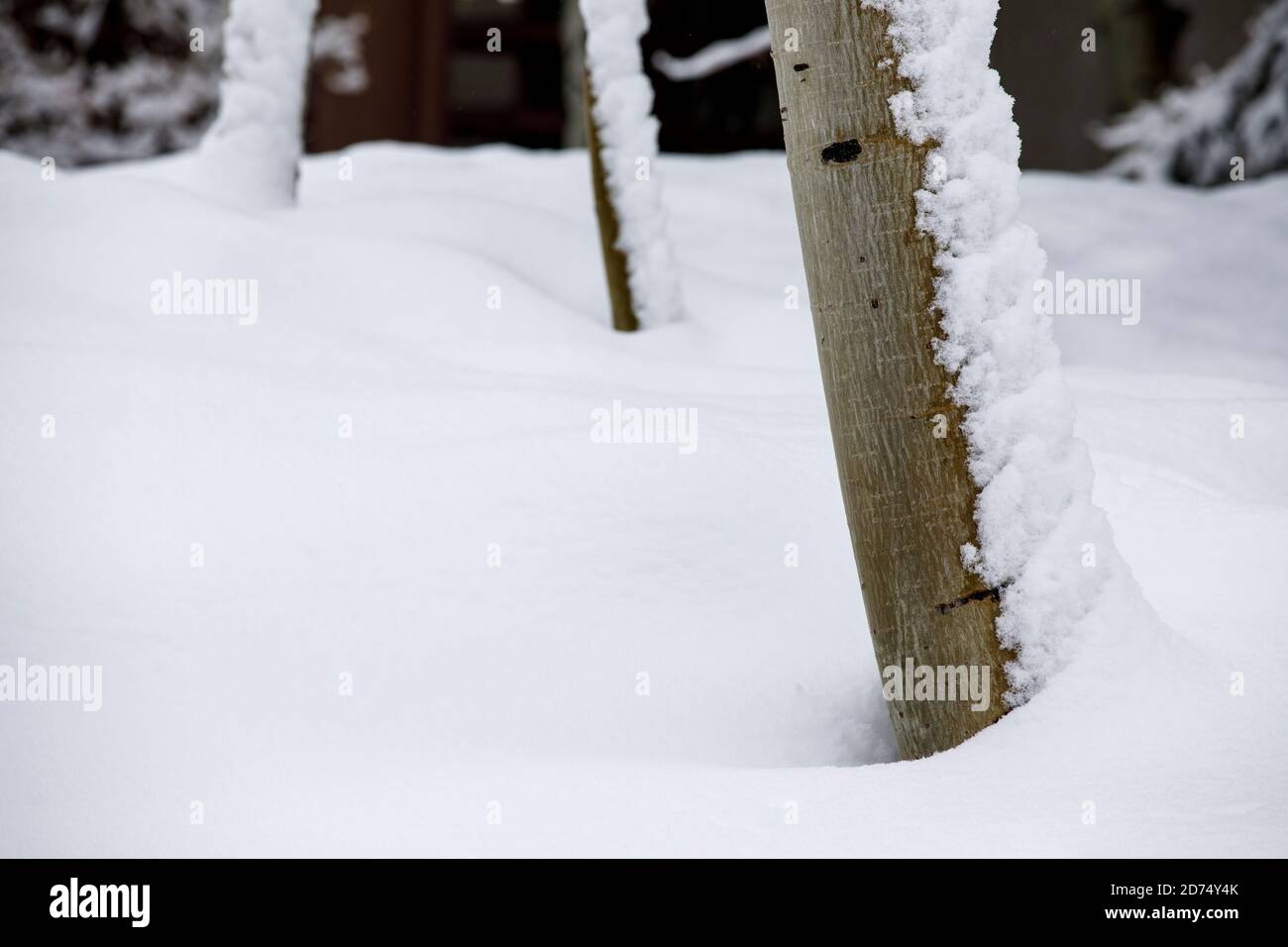 Snow at Deer Valley, Utah, near Salt Lake City during ski season.. Stock Photo