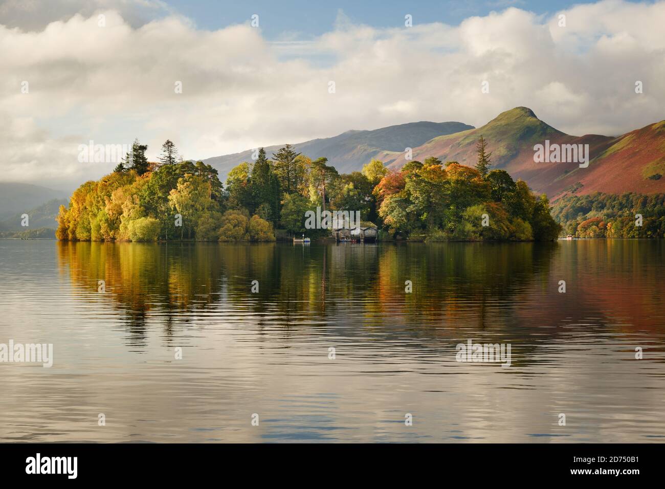 Autumn sunlight on Derwent Isle a tree covered island in Derwent Water near Keswick in the English Lake District Stock Photo