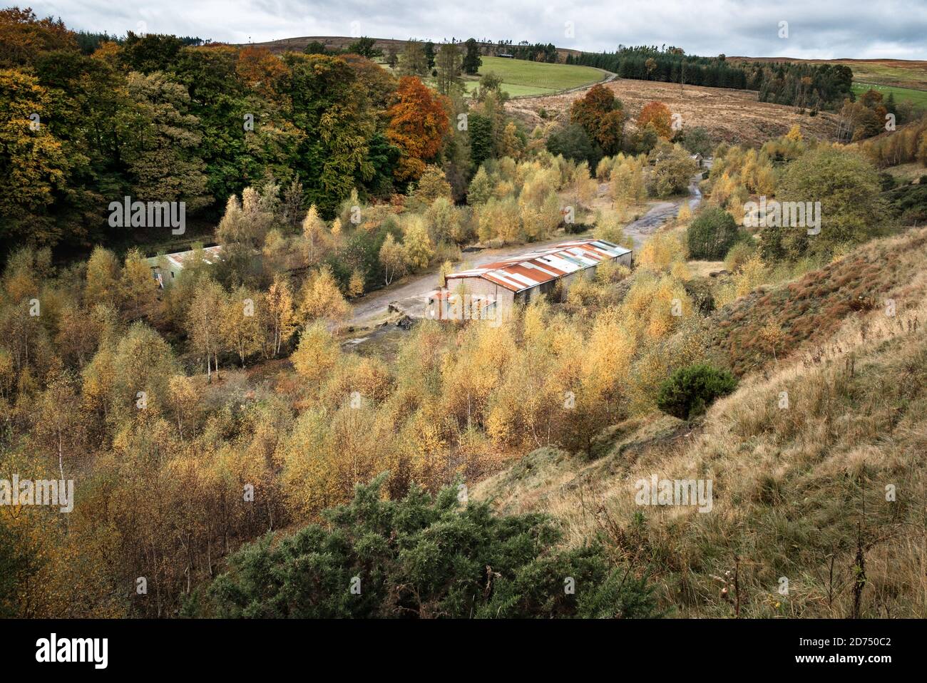 Old quarry buildings in autumn woodland at Stanhope, Weardale Stock Photo