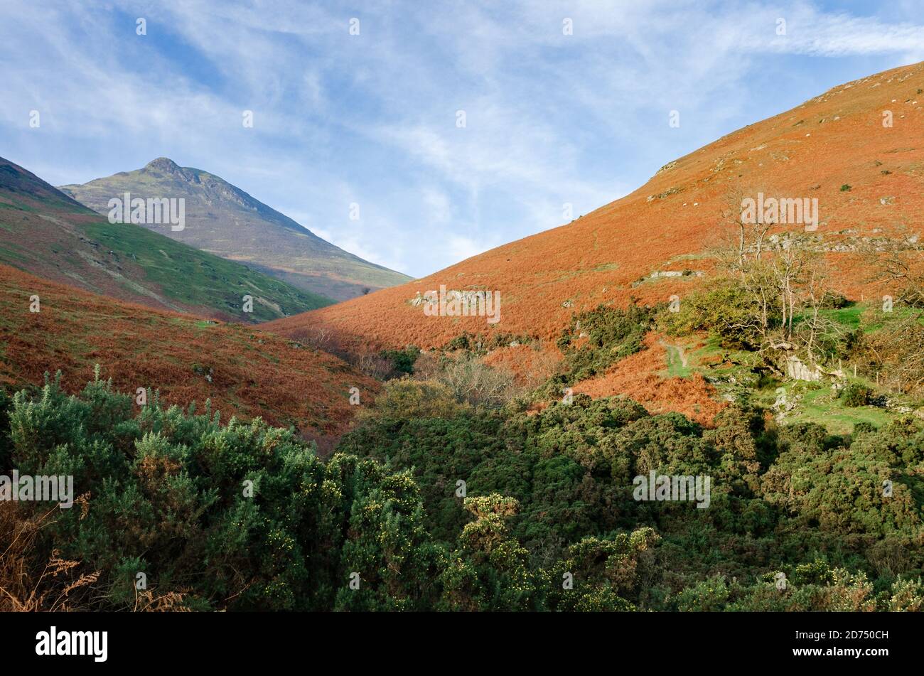 Causey Pike a small mountain / fell in the English Lake District Stock Photo