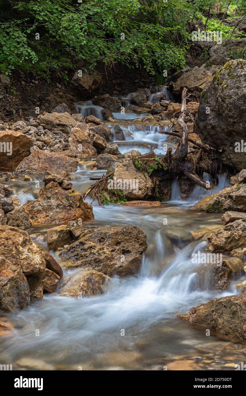 Mountain stream on Seiser Alm, Alpe di Siusi, South Tyrol Stock Photo