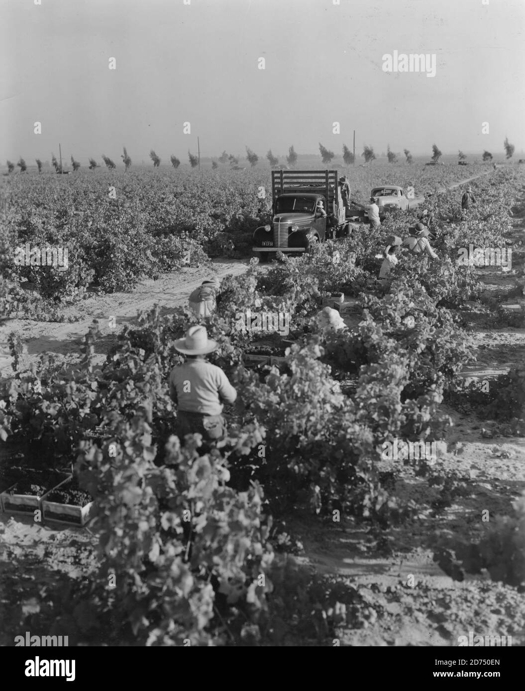 California wines bottles hires stock photography and images Alamy