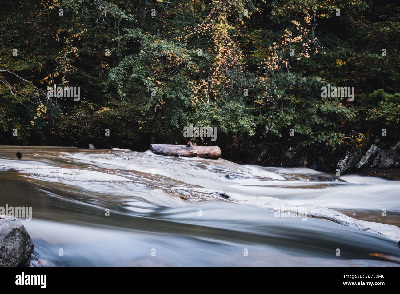 Rushing Water in a Creek Stock Photo