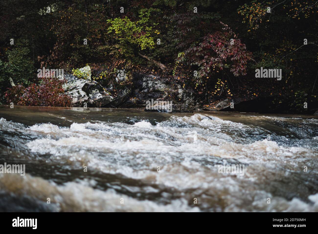 Rushing Water in a Creek Stock Photo Alamy