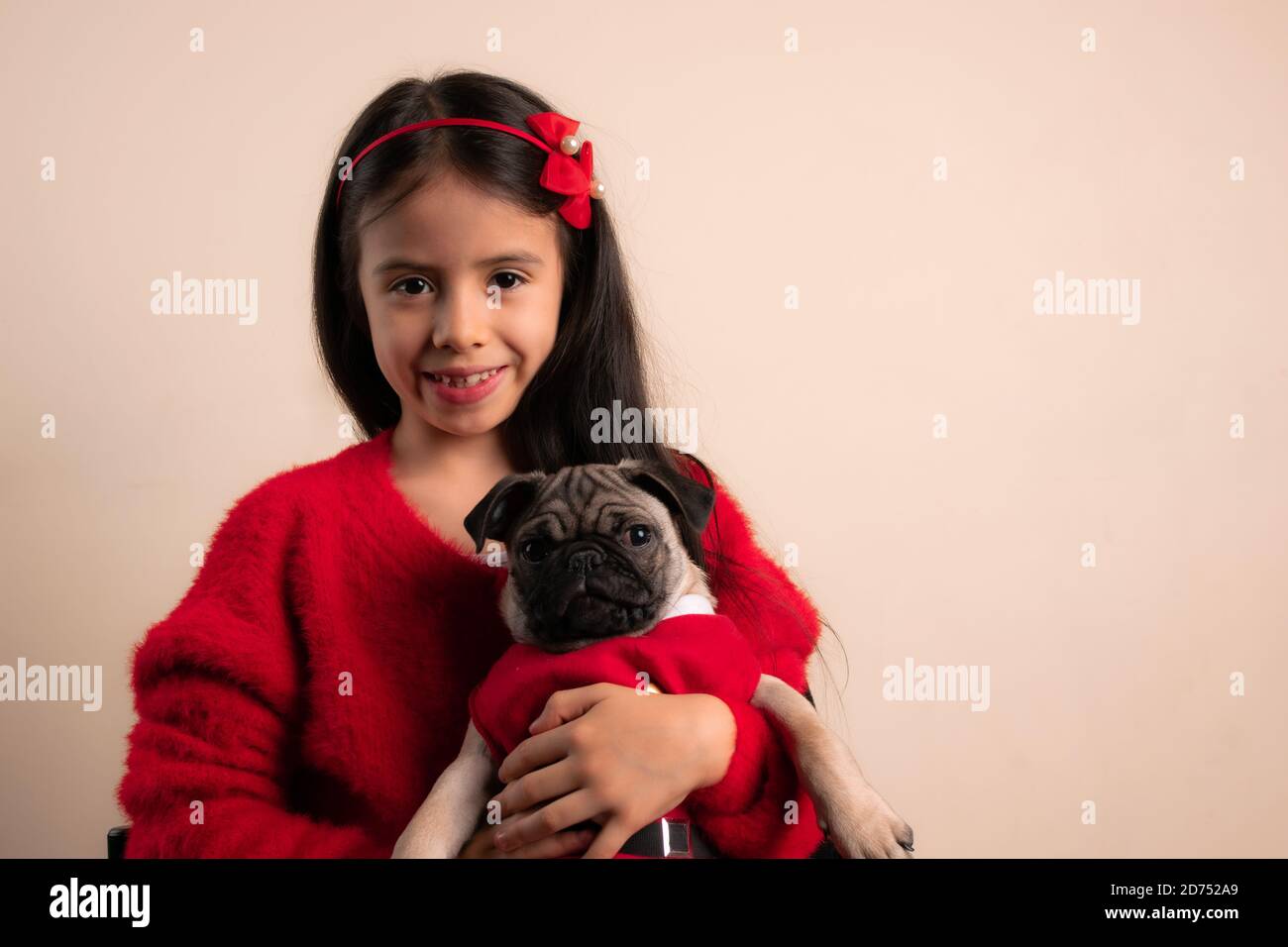 Smiling girl with bow on head holding a cute pug puppy Stock Photo