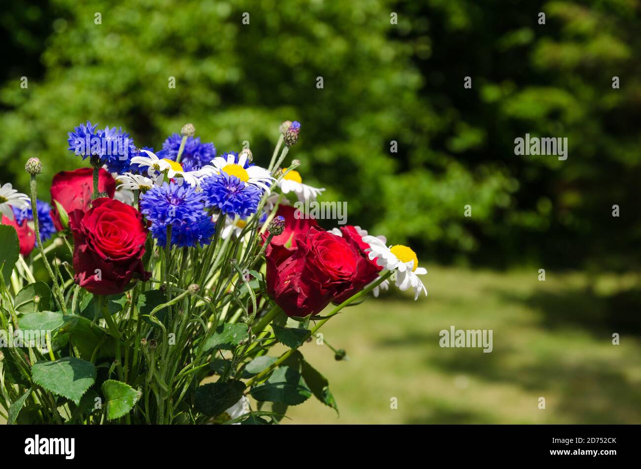 Summmer flowers in a green garden Stock Photo