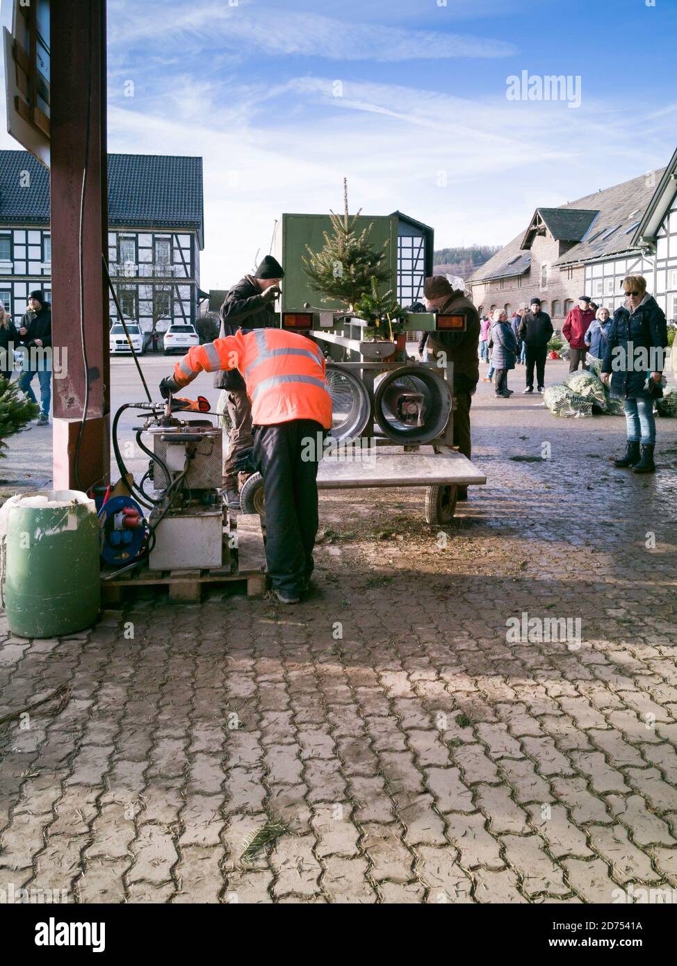 Bestwig, North Rhine Westphalia/Germany - December 15th 2019: Christmas trees are sold and packed. Stock Photo